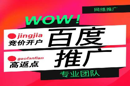 案例分享：SEM代运营如何实现ROI最大化
